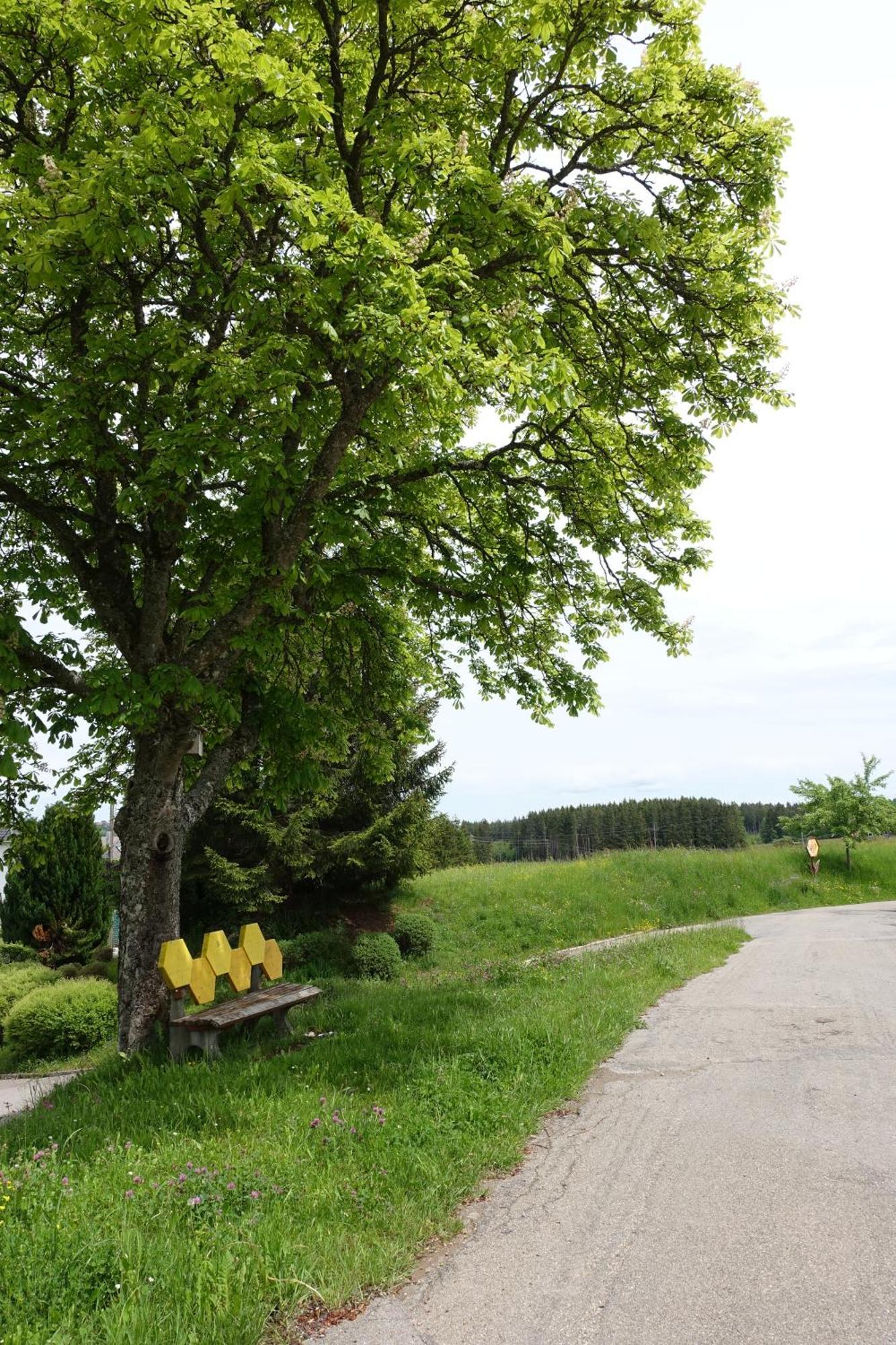 Blick In Den Garten Holzschlag Exterior foto